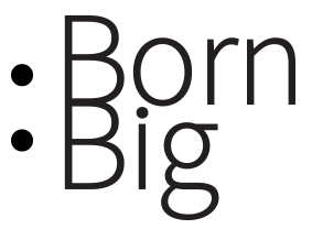 Born Big logo on clear background